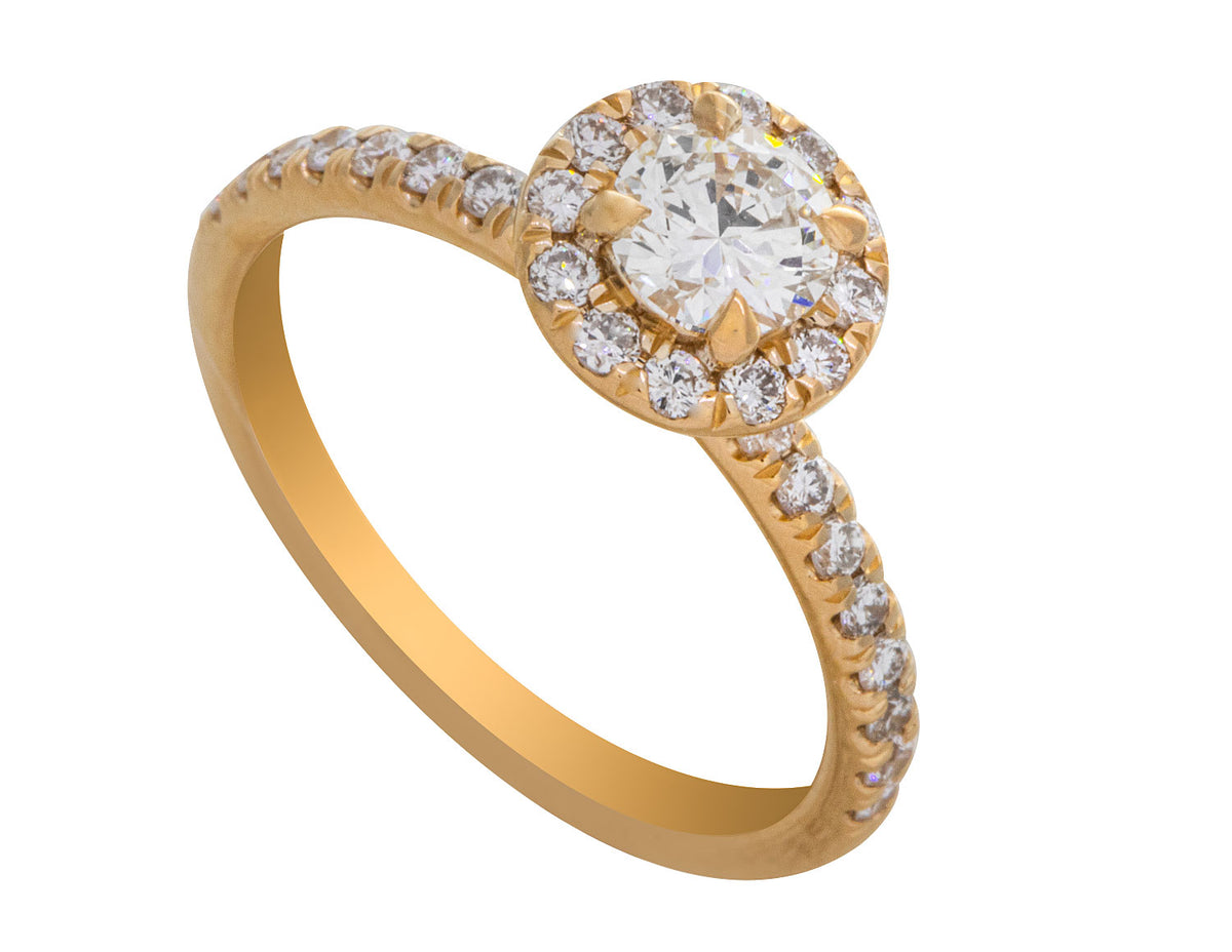1ct. t.w. Round Cut Diamond Halo Engagement Ring in 14K Yellow Gold