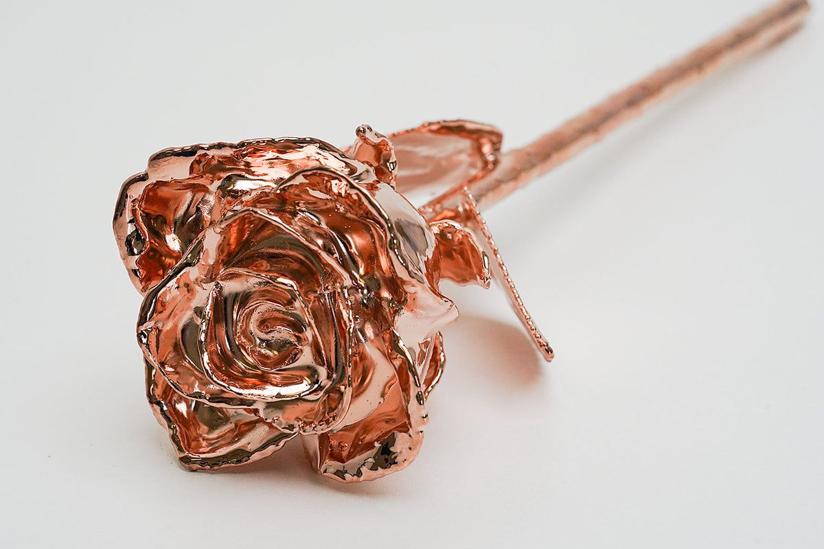 Rose Gold Plated Semi-Open Rose