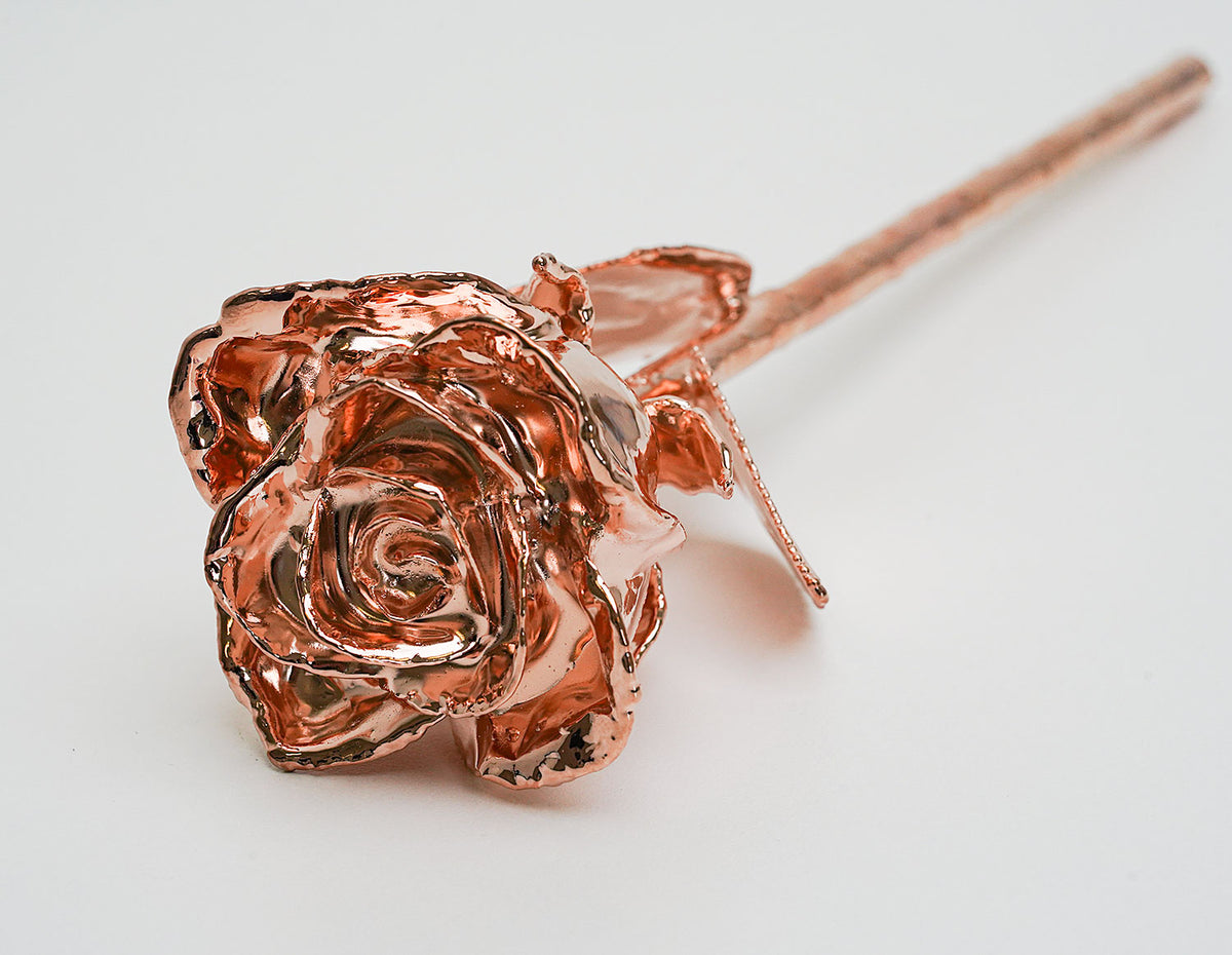 Rose Gold Plated Semi-Open Rose