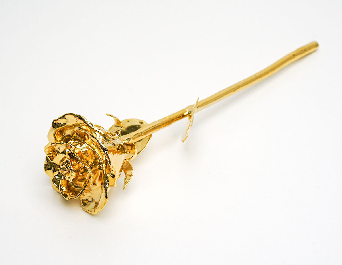 24K Yellow Gold Plated Semi-Open Rose