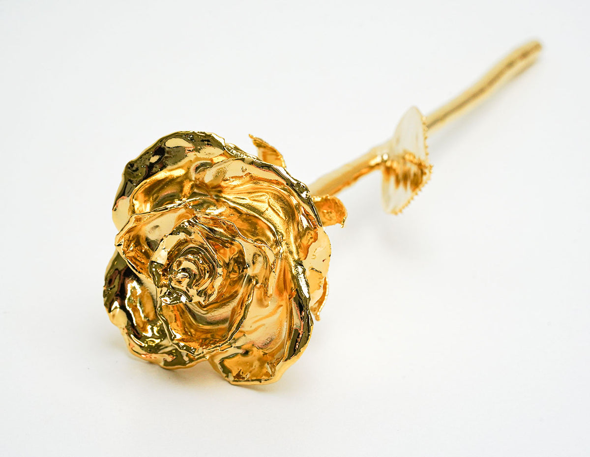 24K Yellow Gold Plated Semi-Open Rose