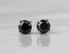 3ct. t.w. Black Diamond Stud Earrings in 14K White Gold