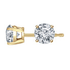 3/4ct. t.w. Diamond Stud Earrings in 14K Yellow Gold