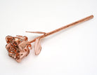 Rose Gold Plated Semi-Open Rose