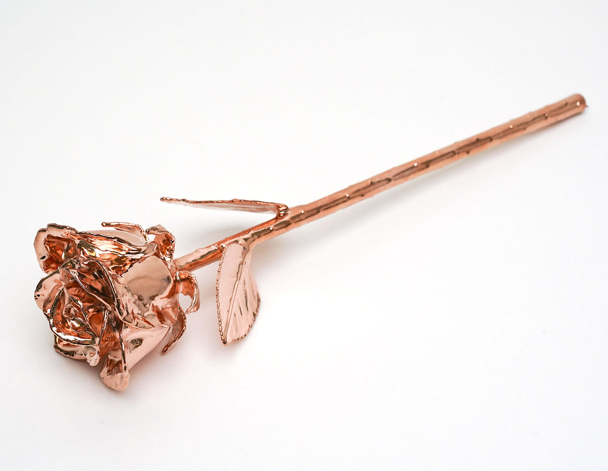 Rose Gold Plated Semi-Open Rose