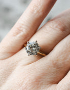 2 1/2ct. Newborn Lab Created Diamond Solitaire Engagement Ring in 14K Yellow Gold