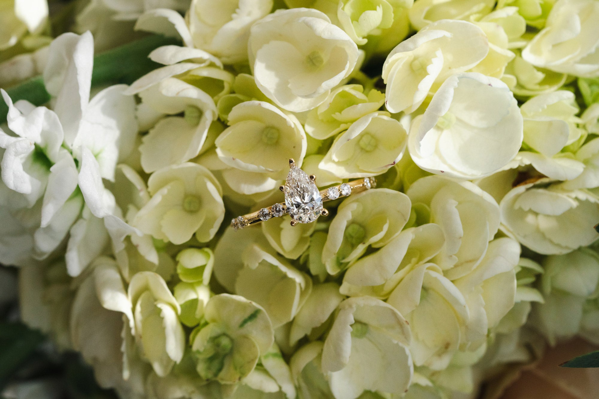 A gold ring with a large clear marquise-cut center stone and smaller side stones rests on a bouquet of pale cream hydrangea flowers.